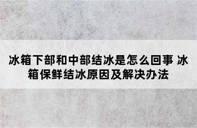 冰箱下部和中部结冰是怎么回事 冰箱保鲜结冰原因及解决办法